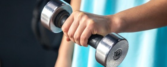 Imagem destaque da publicação - Musculação reprograma células do fígado e ajuda a reverter danos da obesidade