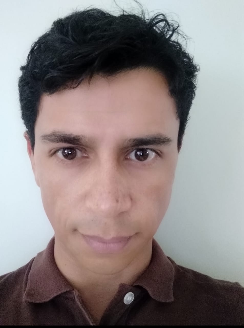 Imagem do usuário Sergio Fernando Nunes