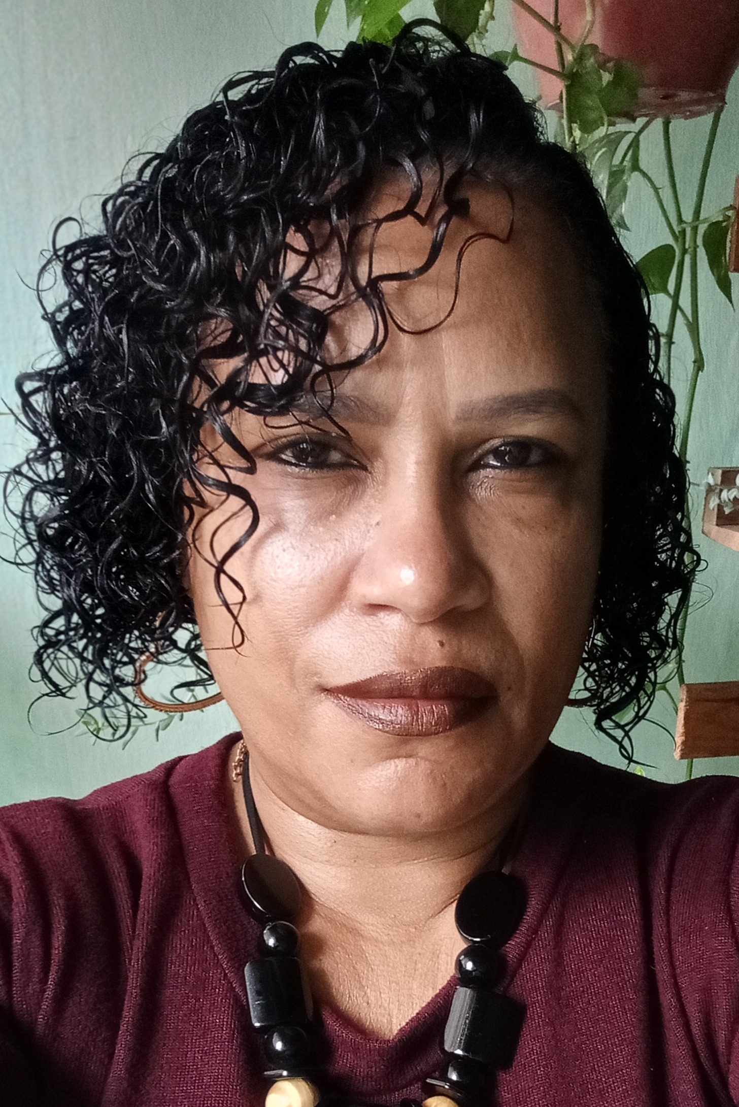 Imagem do usuário Lucimar Gracia Ferreira