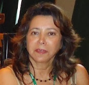 Foto do usuário Artemis de Araujo Soares